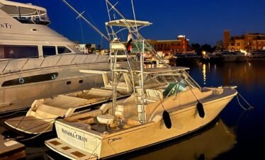 Elgouna City Tour Private City Tour To ELGOUNA from Hurghada